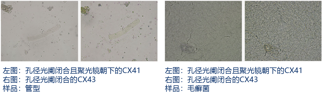 奥林巴斯生物显微镜CX33 CX43示例图9