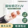 PTYV6*1.0铁路信号电缆厂家