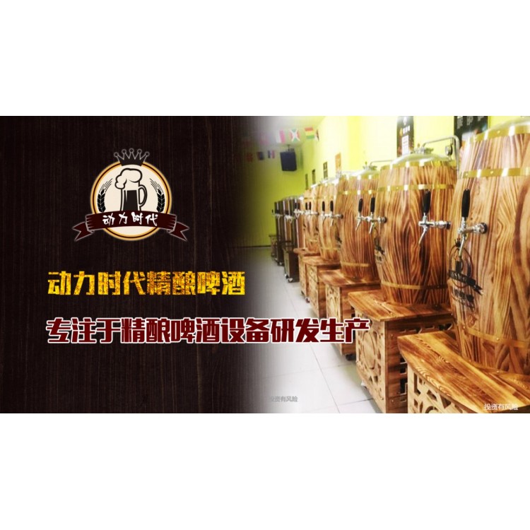 厂家直供 精酿啤酒设备 自酿啤酒设备 小型啤酒设备 扎啤机