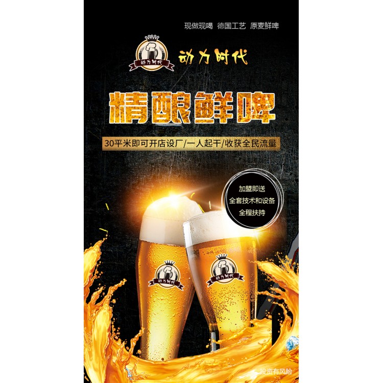 小型啤酒自酿设备不锈钢酿酒啤酒发酵罐自酿啤酒设备 精酿啤酒机