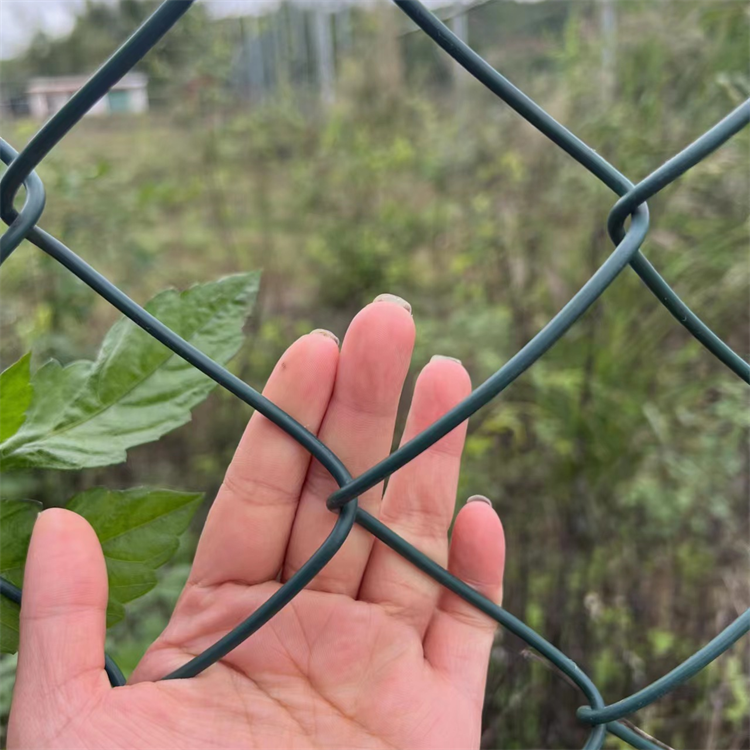 防汛铅丝电焊石笼网 雷诺护垫河道护坡格宾网箱