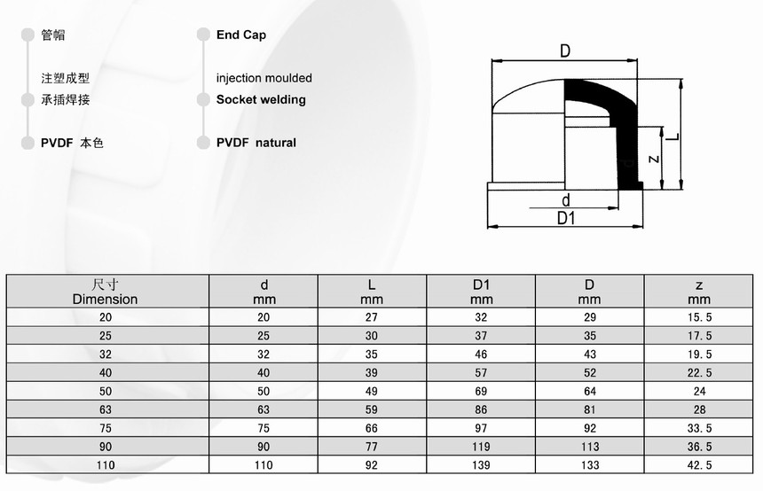 PVDF 管帽 承插.jpg