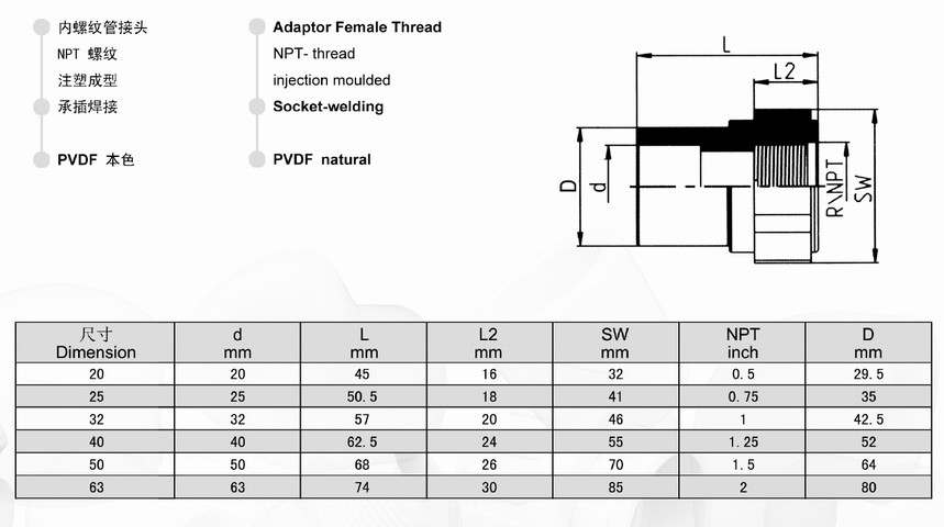 PVDF 内螺纹管接头 承插.jpg